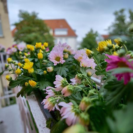 Appartement Otto I - Erfurt Zentrum מראה חיצוני תמונה